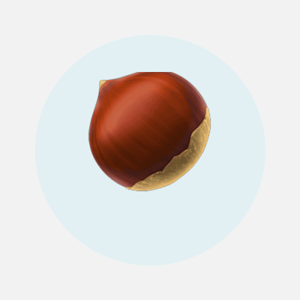 Ореховое ассорти